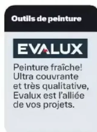 Outils de peinture Evalux