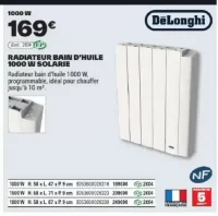 RADIATEUR BAIN D'HUILE 1000 W SOLARIE DeLonghi