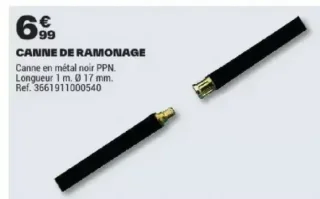 Canne de ramonage