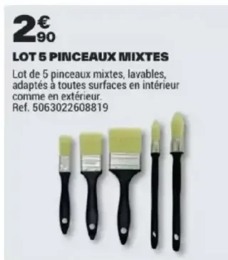 Lot 5 pinceaux mixtes