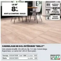 Carrelage de sol intérieur "NELLY"