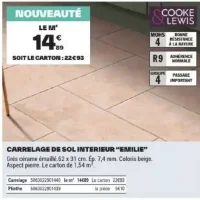 Carrelage de sol intérieur "EMILIE"