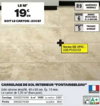 CARRELAGE DE SOL INTERIEUR "FONTAINEBLEAU"