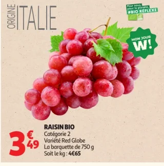 Raisin Bio