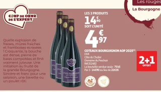 Coteaux Bourguignon AOP 2025 Côte de Chalier Domaine du Perchoir
