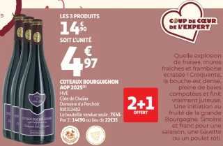 Coteaux Bourguignon AOP 2025 Côte de Chalier Domaine du Perchoir