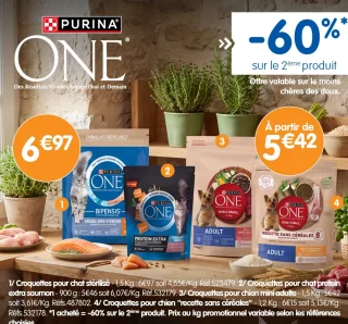Croquettes pour chien Purina One Mini Adulte