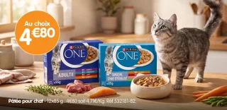 Pâtée pour chat Purina One Spécial Chat Stérilisé