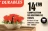 Promo Composition de boutons de roses