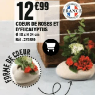Coeur de roses et d'eucalyptus