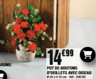 Pot de boutons d'oeillets avec oiseau