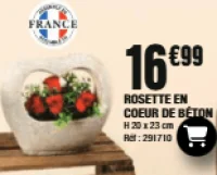 Rosette en coeur de béton