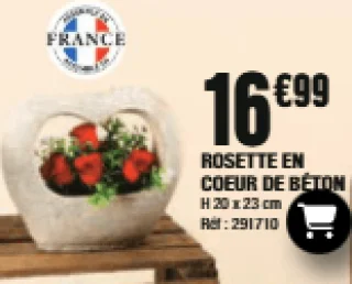 Rosette en coeur de béton