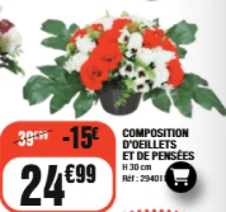 Composition d'oeillets et de pensées