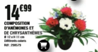 Composition d'anémones et de chrysanthèmes
