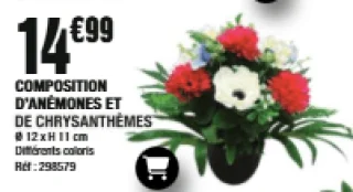 Composition d'anémones et de chrysanthèmes