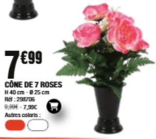 Cône de 7 roses