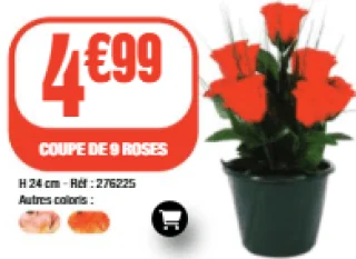 Coupe de 9 roses