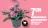 Promo Composition de chrysanthèmes