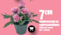Composition de chrysanthèmes