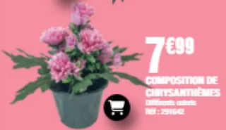 Composition de chrysanthèmes