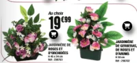 Jardinière de roses et d'orchidées / Jardinière de gerberas, de roses et d'arums au choix