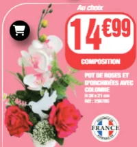 Pot de roses et d'orchidées avec colombe