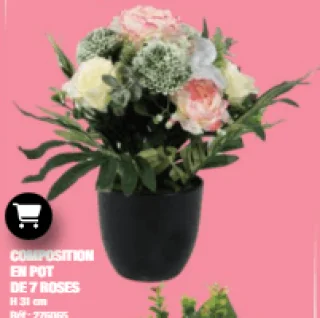 Composition en pot de 7 roses