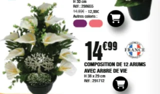 COMPOSITION DE 12 ARUMS AVEC ARBRE DE VIE