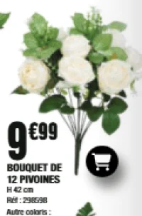 BOUQUET DE 12 PIVOINES