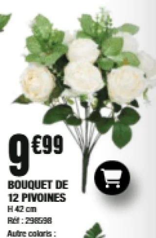 BOUQUET DE 12 PIVOINES