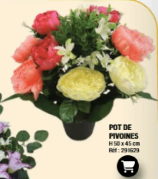 POT DE PIVOINES