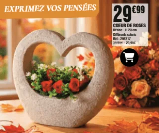 Coeur de Roses
