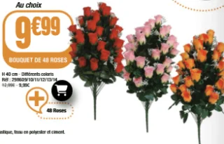 Bouquet de 48 roses