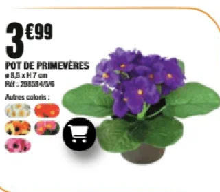 Pot de Primevères