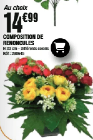 Composition de Renoncules