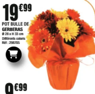 Pot bulle de Gerberas
