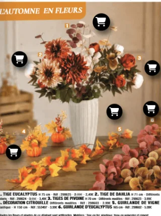 Sélection de fleurs et décorations d'automne L'automne en fleurs