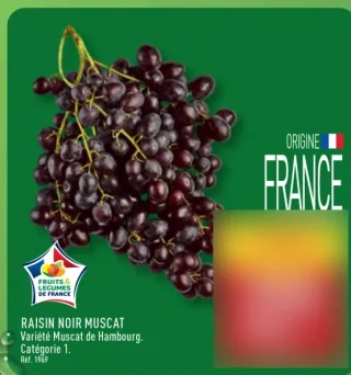 Raisin noir muscat