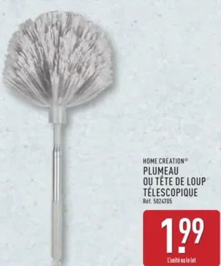 HOME CREATION® PLUMEAU OU TÊTE DE LOUP TÉLESCOPIQUE