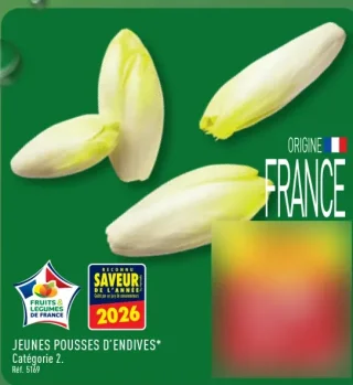 Jeunes pousses d'endives