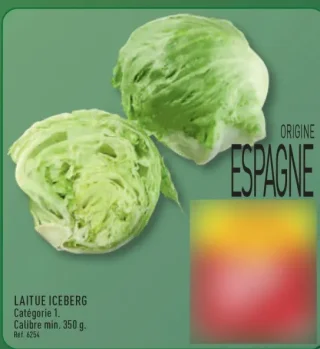 Laitue iceberg