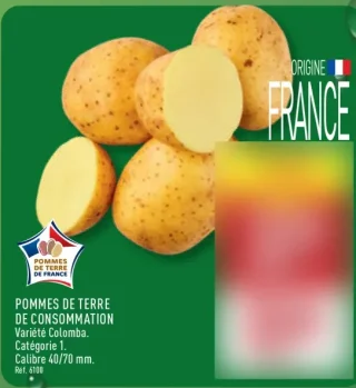 Pommes de terre de consommation Variété Colomba