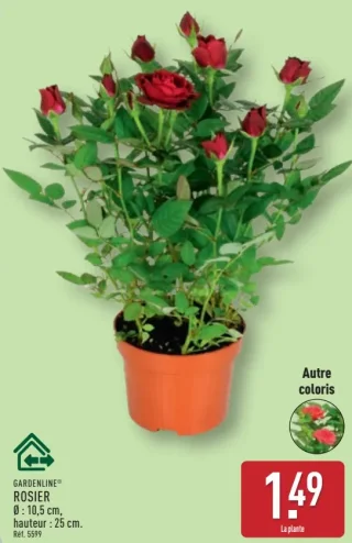Rosier GARDENLINE