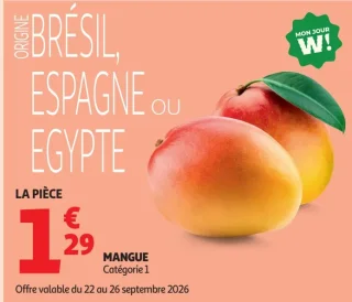 Mangue Catégorie 1