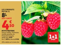 Petits fruitiers (framboisier, myrtille, groseillier, etc.)