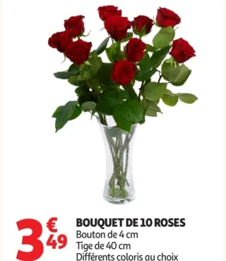 Bouquet de 10 roses