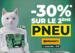 Pneus Continental 4 Saisons / Été