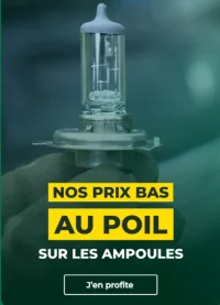 Prix bas au poil sur les ampoules