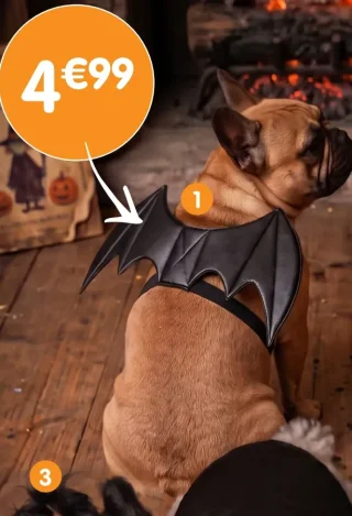 Costume pour chien ailes de chauve-souris